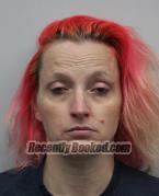 Recent Mugshot Image for DANNIEL LEE ELLIOTT in Darke County, Ohio