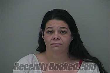 Recent Mugshot Image for ALISHA LYNN ELDER in Delaware County, Ohio