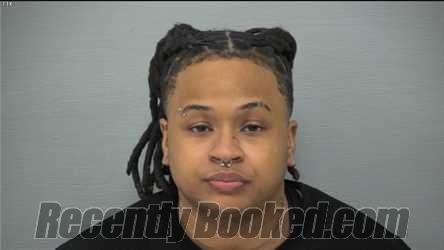 Recent Mugshot Image for REKIYA RAECHEL MITCHELL in Delaware County, Ohio