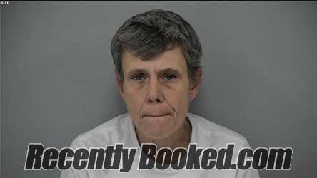 Recent Mugshot Image for AMY MICHELLE THOMAS in Delaware County, Ohio