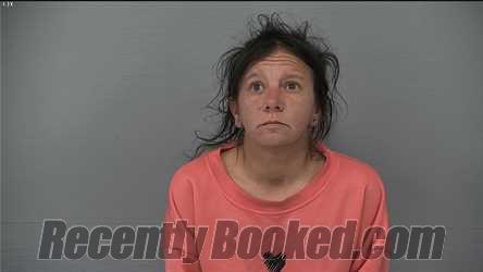 Recent Mugshot Image for SHAINA JUNE CODDINGTON in Delaware County, Ohio