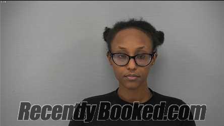 Recent Mugshot Image for SEHAM OSMAN ABDULLAHI in Delaware County, Ohio