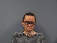 Recent Mugshot Image for Suzannah Elam-Crosser in Erie County, Ohio