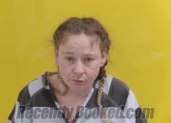 Recent Mugshot Image for HEATHER ALYCE LATHAM in Fairfield County, Ohio