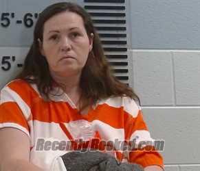 AMANDA IRENE MILLER Arrest Record & Booking Info – Fairfield County ...