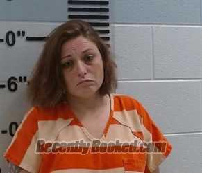 Recent Mugshot Image for JAMI MARIE BELLAR in Fairfield County, Ohio