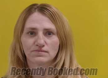 Recent Mugshot Image for MICHELLE L DANNER in Fairfield County, Ohio
