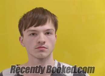 Recent Mugshot Image for COLE LAUREN EDGINGTON in Fairfield County, Ohio