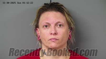 Recent Mugshot Image for KENDRA CAROL ERVIN in Fayette County, Ohio