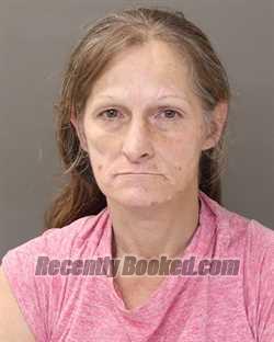 Recent Booking / Mugshot for AMANDA S MILLER in Franklin County, Ohio