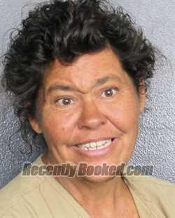 Recent Mugshot Image for JENNIFER RENEE HINKLE in Broward County, Florida