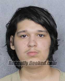 Recent Mugshot Image for CHASE ALEXANDER CAIN in Broward County, Florida