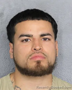 Recent Mugshot Image for ALEXANDER RAMIREZ in Broward County, Florida