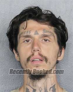 Recent Mugshot Image for JOSHUA VOORHEES in Broward County, Florida