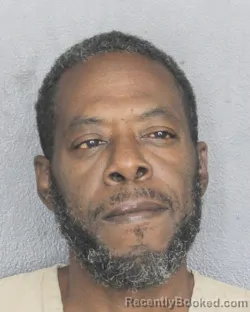 Recent Mugshot Image for DAMIAN MAURICE SNELLINGS in Broward County, Florida