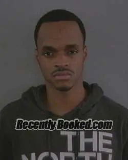 Recent Mugshot Image for ZIENS ZENNEN SYLVAIN in Sumter County, Florida