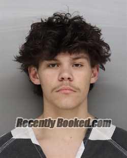 Recent Mugshot Image for HARRY NELSON in Hamilton County, Ohio