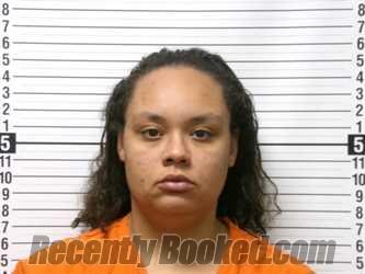 Recent Mugshot Image for MACHALIA DIANE VASSALLE-PARKER in Hardin County, Ohio