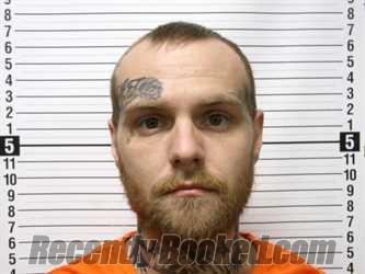 Recent Mugshot Image for ADAM PATRICK TORMA in Hardin County, Ohio