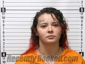 Recent Mugshot Image for RAYVIN PAYGE HOUCHIN in Hardin County, Ohio