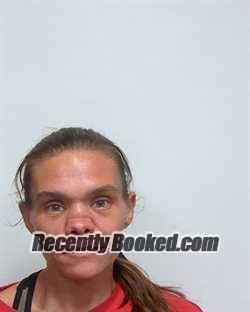 Recent Mugshot Image for STEPHANIE LYNN GATLIN in Suwannee County, Florida