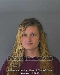 Recent Mugshot Image for JAMIE MARIE WHEELER in Holmes County, Ohio