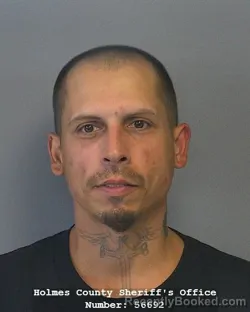 Recent Mugshot Image for RAYMOND AVILES RIOS in Holmes County, Ohio