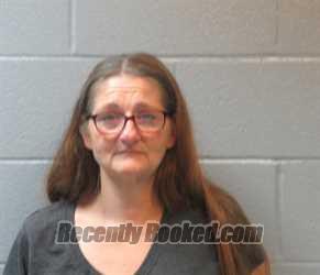 Recent Mugshot Image for TAMARA DAWN HARLAN in Huron County, Ohio