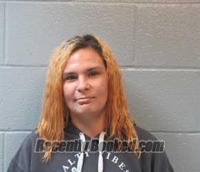 Recent Mugshot Image for SARA LYNN GONZALEZ in Huron County, Ohio