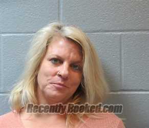 Recent Mugshot Image for AMANDA LYNN NICKOLI in Huron County, Ohio