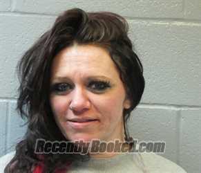 Recent Mugshot Image for TERRA LYNN HOWARD in Huron County, Ohio