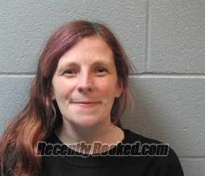 Recent Mugshot Image for ASHLEE DAWN MCCLISH in Huron County, Ohio