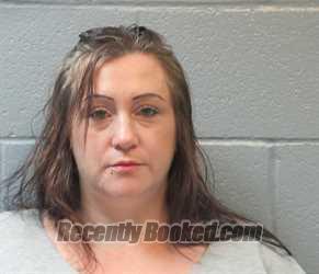 Recent Mugshot Image for SHANNON MARIE SCHOFIELD in Huron County, Ohio