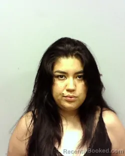 Recent Mugshot Image for DAMARIS ARELY DEJESUS LAZARO in Lake County, Ohio
