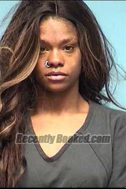 Recent Mugshot Image for WHITNEY PFEIFER in Lorain County, Ohio