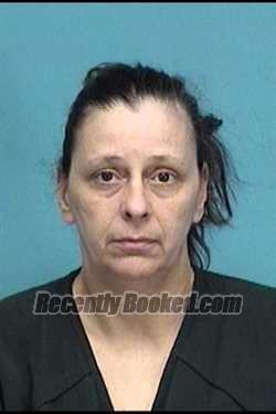 Recent Mugshot Image for MICHELLE M SCHOLL in Lorain County, Ohio
