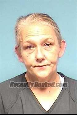 Recent Mugshot Image for LISA A CAMIOLO in Lorain County, Ohio