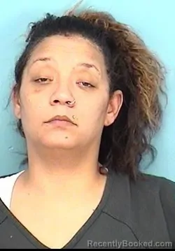 Recent Mugshot Image for SIERA NICOLE NEWTON in Lorain County, Ohio