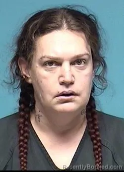 Recent Mugshot Image for ANNA MARIE ADKINS in Lorain County, Ohio
