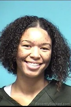 Recent Mugshot Image for DESTINEY D WASHINGTON in Lorain County, Ohio