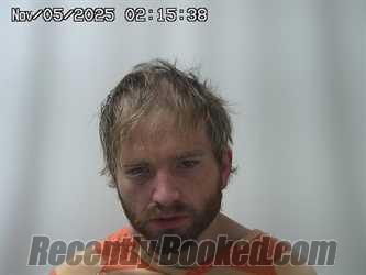 Recent Mugshot Image for DYLAN ADKINS in Madison County, Ohio