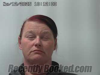 Recent Mugshot Image for TISA SAVIN in Madison County, Ohio