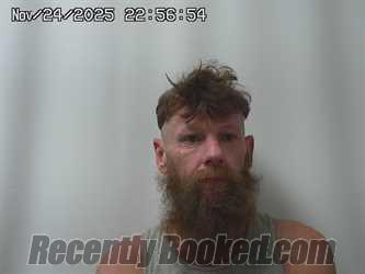 Recent Mugshot Image for JAMES SWACKHAMER in Madison County, Ohio