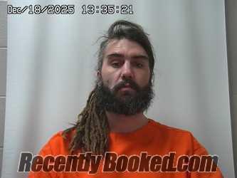 Recent Mugshot Image for SHAWN REED in Madison County, Ohio