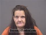 Recent Mugshot Image for CHRISTINA L BRAYMAN in Mahoning County, Ohio