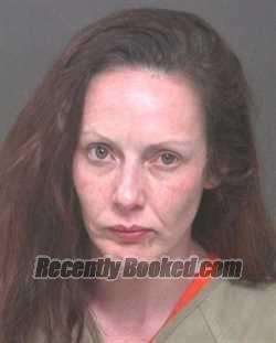 Recent Mugshot Image for ERIKA LYNN SCHOONOVER in Muskingum County, Ohio