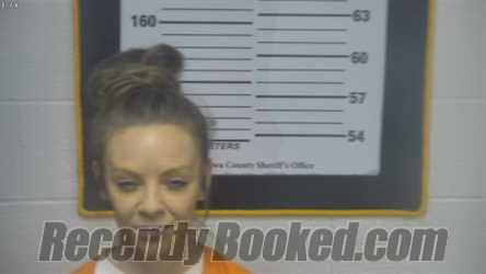 Recent Mugshot Image for CASEY M JESSEE in Ottawa County, Ohio