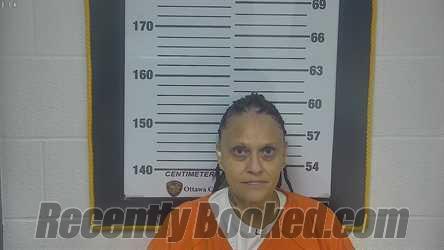Recent Mugshot Image for VICKI L TANNER in Ottawa County, Ohio