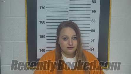 Recent Mugshot Image for JORDAN LYNN HENDRICKS in Ottawa County, Ohio