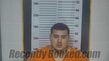 Recent Mugshot Image for MYLAN GUADALUPE GARCIA in Ottawa County, Ohio